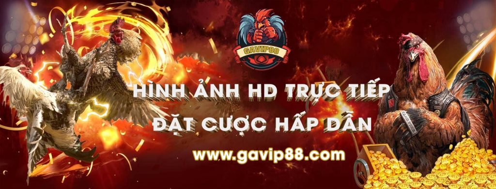 GAVIP88 ❤️️ Nhà Cái  Đá Gà Uy Tín Hàng Đầu Châu Á